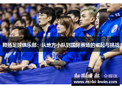 赖扬足球俱乐部：从地方小队到国际赛场的崛起与挑战
