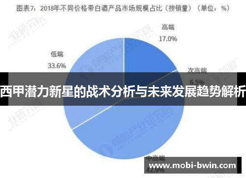 西甲潜力新星的战术分析与未来发展趋势解析