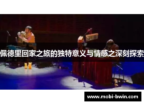 佩德里回家之旅的独特意义与情感之深刻探索