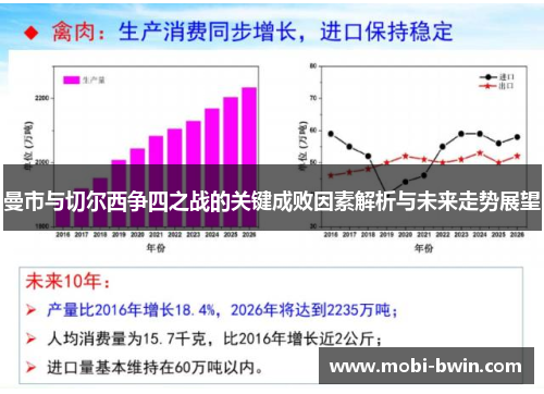 曼市与切尔西争四之战的关键成败因素解析与未来走势展望