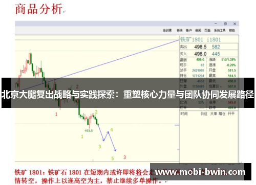 北京大腿复出战略与实践探索：重塑核心力量与团队协同发展路径