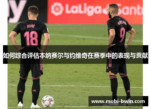 如何综合评估本纳赛尔与约维奇在赛季中的表现与贡献