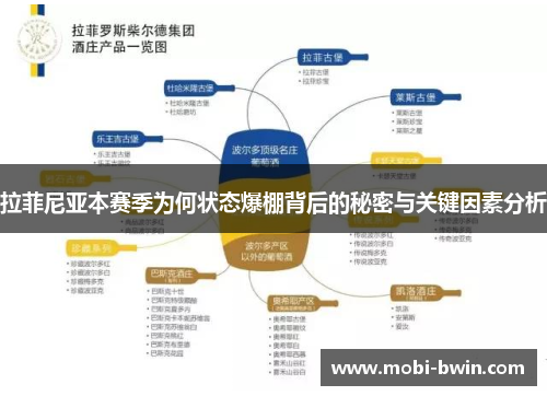 拉菲尼亚本赛季为何状态爆棚背后的秘密与关键因素分析