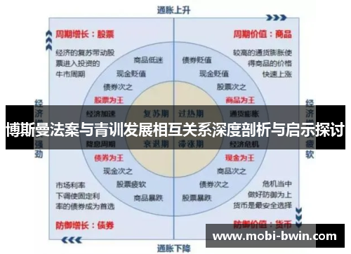 博斯曼法案与青训发展相互关系深度剖析与启示探讨