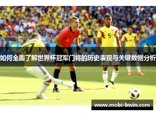 如何全面了解世界杯冠军门将的历史表现与关键数据分析