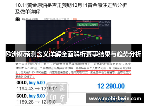 欧洲杯预测含义详解全面解析赛事结果与趋势分析