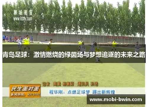 青岛足球：激情燃烧的绿茵场与梦想追逐的未来之路