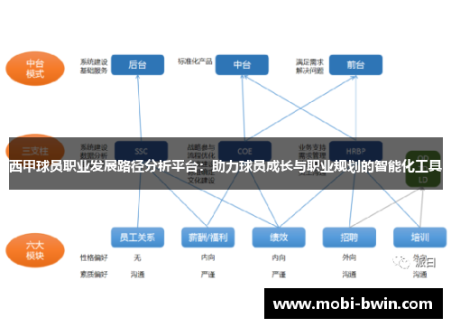 西甲球员职业发展路径分析平台：助力球员成长与职业规划的智能化工具